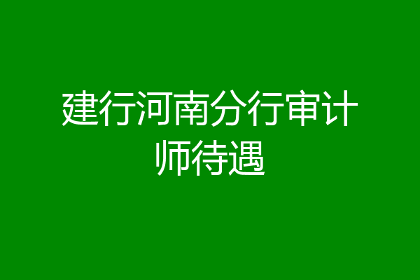 建行河南分行审计师待遇
