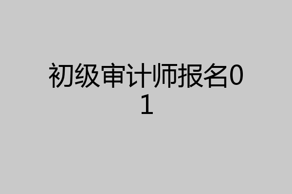 初级审计师报名01