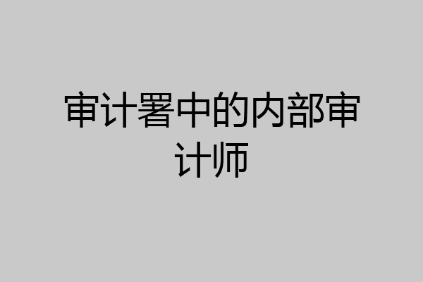 审计署中的内部审计师