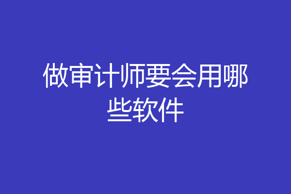 做审计师要会用哪些软件