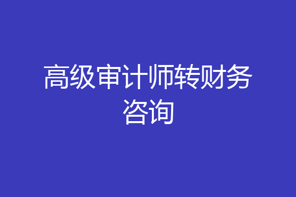高级审计师转财务咨询