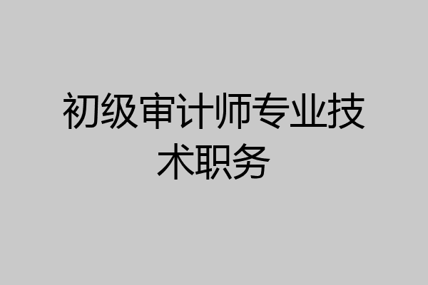 初级审计师专业技术职务