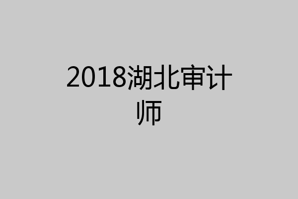 2018湖北审计师