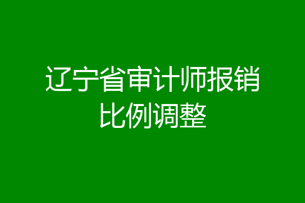 辽宁省审计师报销比例调整