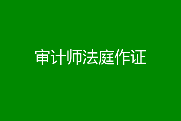 审计师法庭作证