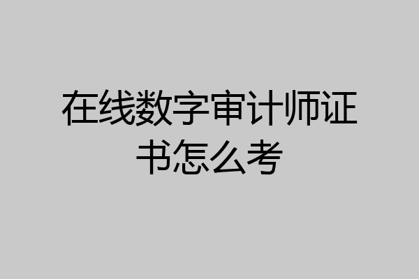 在线数字审计师证书怎么考