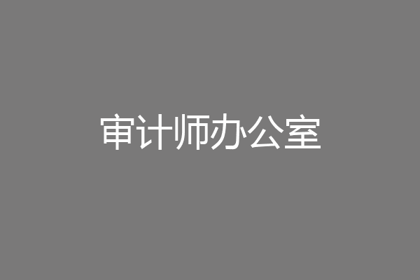 审计师办公室