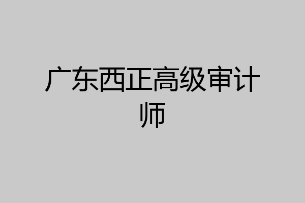 广东西正高级审计师