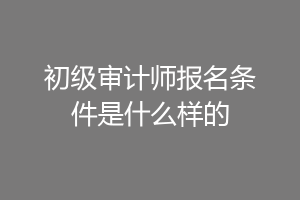 初级审计师报名条件是什么样的