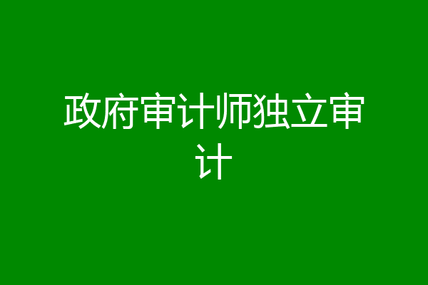 政府审计师独立审计