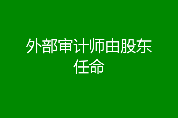 外部审计师由股东任命