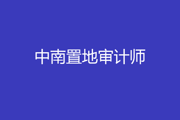 中南置地审计师