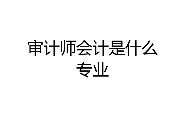 审计师会计是什么专业
