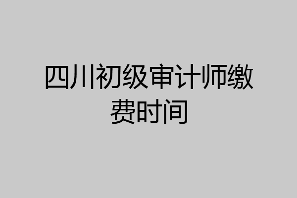 四川初级审计师缴费时间