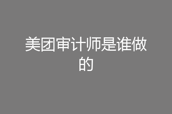 美团审计师是谁做的