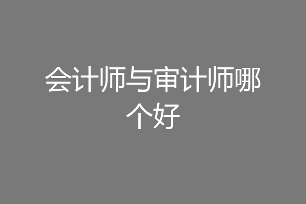会计师与审计师哪个好