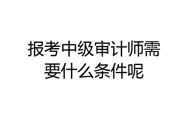 报考中级审计师需要什么条件呢