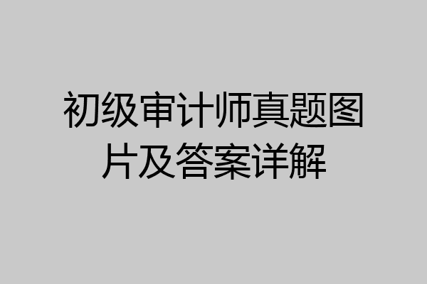 初级审计师真题图片及答案详解