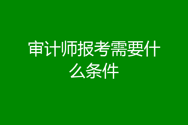 审计师报考需要什么条件