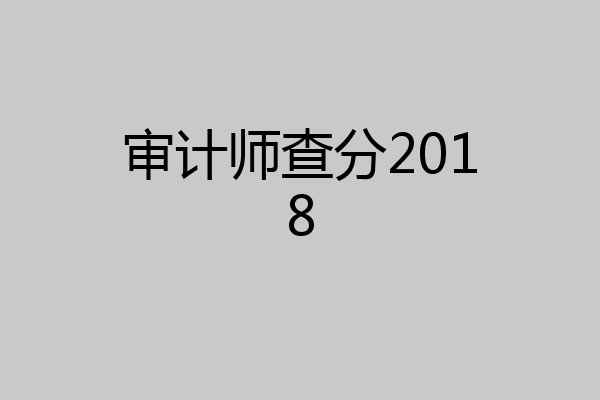 审计师查分2018