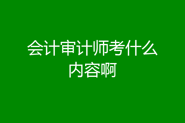 会计审计师考什么内容啊