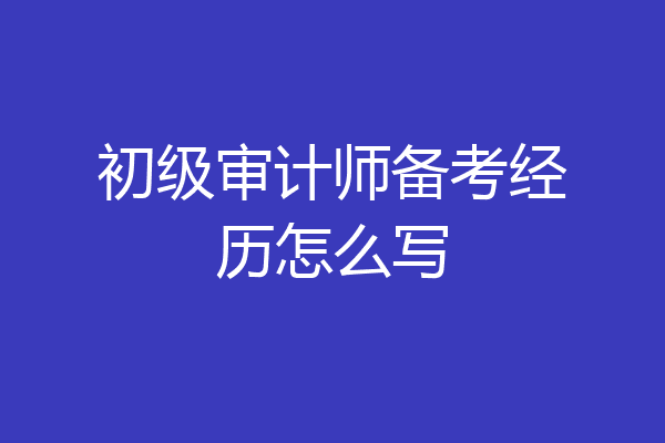 初级审计师备考经历怎么写