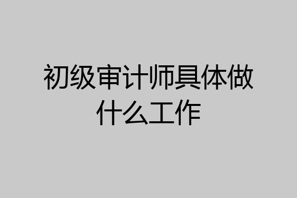 初级审计师具体做什么工作