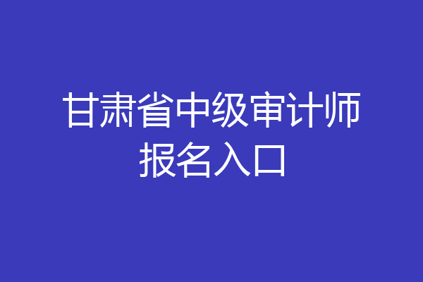 甘肃省中级审计师报名入口