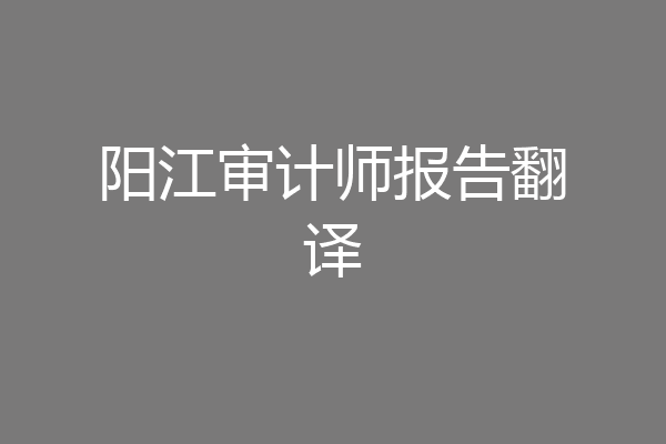 阳江审计师报告翻译