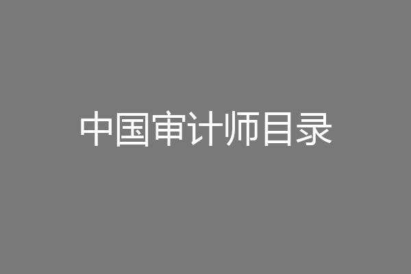 中国审计师目录
