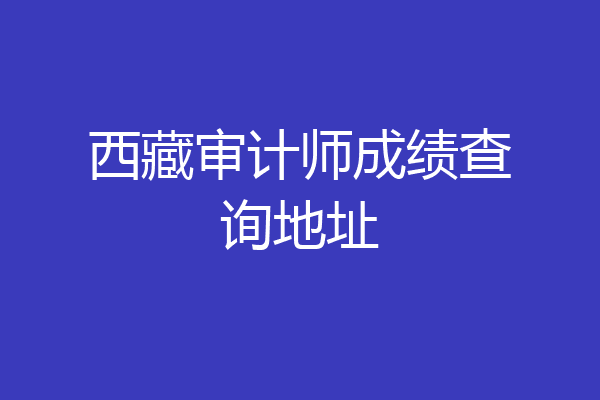 西藏审计师成绩查询地址