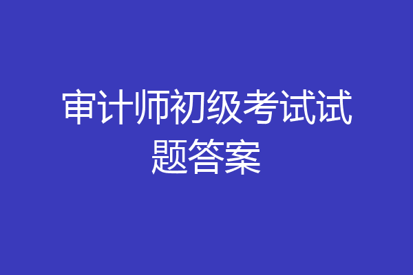 审计师初级考试试题答案