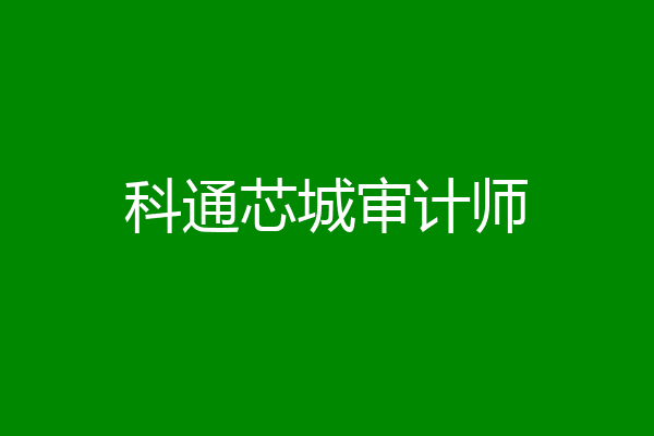 科通芯城审计师