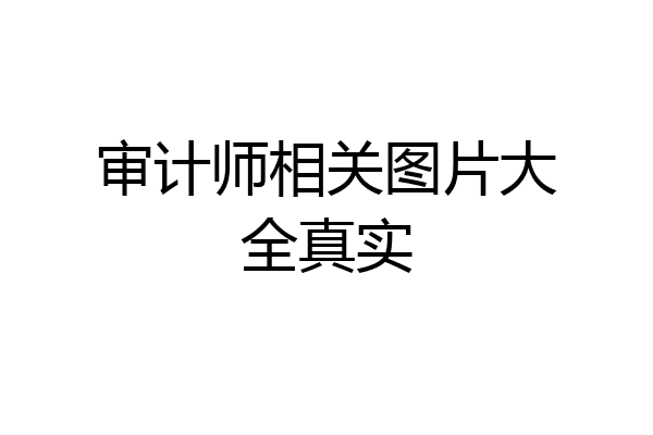 审计师相关图片大全真实