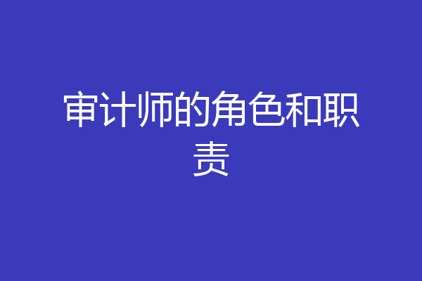 审计师的角色和职责