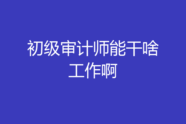 初级审计师能干啥工作啊