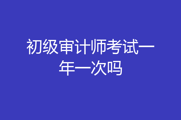 初级审计师考试一年一次吗