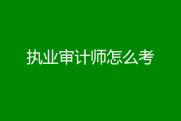 执业审计师怎么考