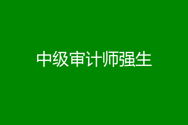 中级审计师强生