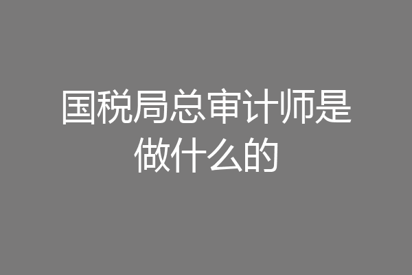 国税局总审计师是做什么的