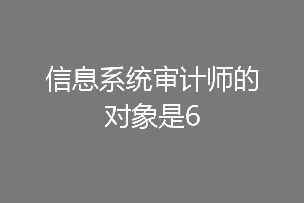 信息系统审计师的对象是6