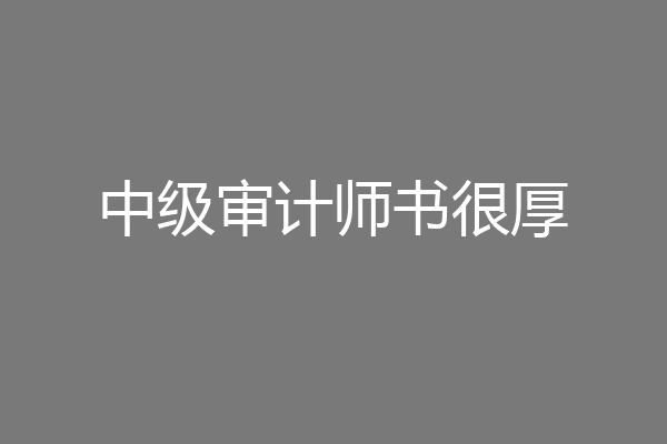 中级审计师书很厚