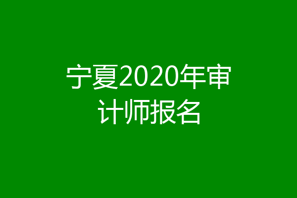 宁夏2020年审计师报名
