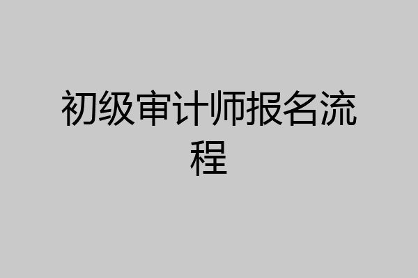 初级审计师报名流程