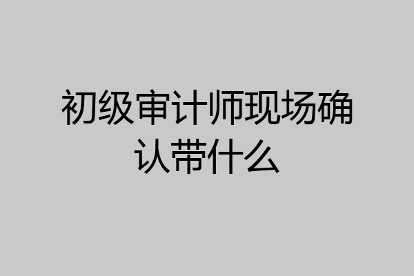 初级审计师现场确认带什么