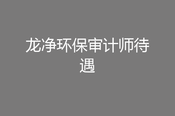 龙净环保审计师待遇