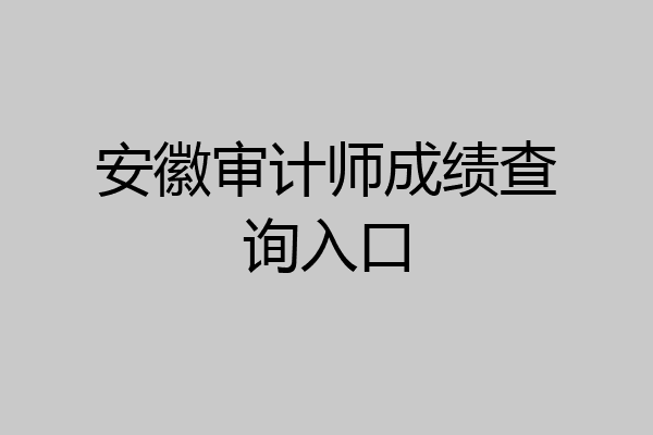 安徽审计师成绩查询入口