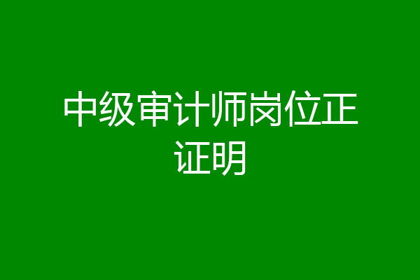中级审计师岗位正证明