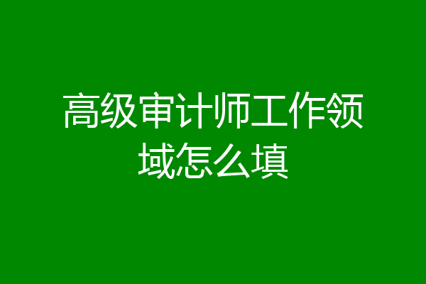 高级审计师工作领域怎么填