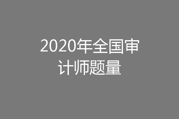 2020年全国审计师题量